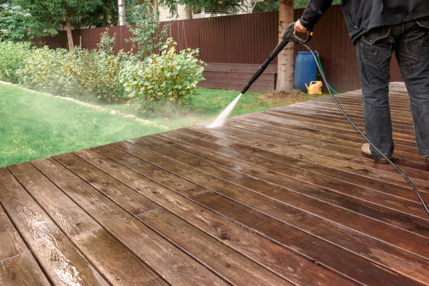 Animal Enclosure Cleaning in Picayune, MS